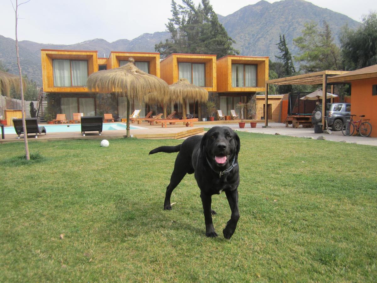 Cajon Del Maipo Lodge San José de Maipo Kültér fotó
